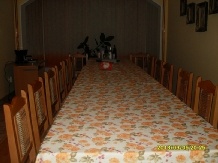 Pensiunea Mihaela - accommodation in  Olt Valley (26)