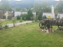 Pensiunea Mihaela - accommodation in  Olt Valley (33)