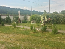 Pensiunea Mihaela - accommodation in  Olt Valley (35)