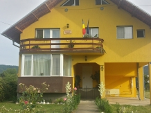 Pensiunea Mihaela - accommodation in  Olt Valley (37)