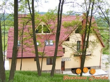 LapePensiunea Daniela - alloggio in  Transilvania (04)