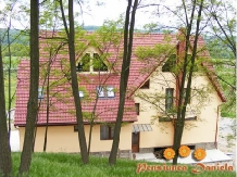 LapePensiunea Daniela - cazare Transilvania (04)