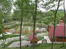 LapePensiunea Daniela - cazare Transilvania (09)