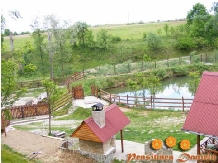 LapePensiunea Daniela - cazare Transilvania (10)