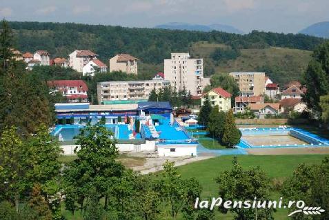 LapePensiunea Daniela - alloggio in  Transilvania (Attivit&agrave; e i dintorni)