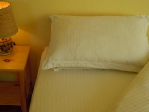 Belegania Oarja Villa - cazare Muntenia (03)