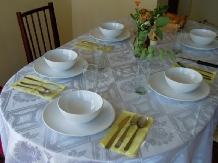 Belegania Oarja Villa - cazare Muntenia (06)