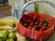 Belegania Oarja Villa - cazare Muntenia (08)