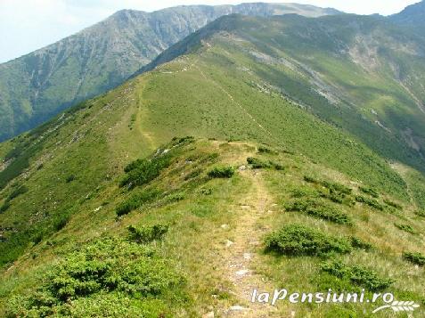 Cabana Popasul Haiducilor - alloggio in  Tara Hategului, Transalpina (Attivit&agrave; e i dintorni)