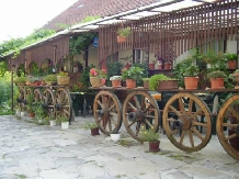 Casa de Oaspeti "Bella" - cazare Tusnad (01)