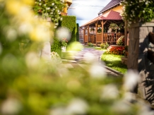 Pensiunea Sólyomkô - accommodation in  Tusnad (14)