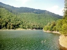 Casa Lacului - alloggio in  Valea Oltului, Voineasa (04)