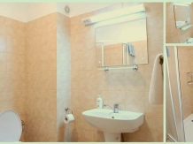 Casa Lacului - accommodation in  Olt Valley, Voineasa (12)