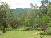 Casa Lacului - alloggio in  Valea Oltului, Voineasa (31)