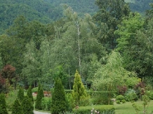 Casa Lacului - alloggio in  Valea Oltului, Voineasa (33)