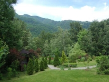 Casa Lacului - alloggio in  Valea Oltului, Voineasa (35)
