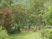 Casa Lacului - alloggio in  Valea Oltului, Voineasa (36)