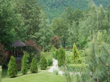 Casa Lacului - alloggio in  Valea Oltului, Voineasa (38)