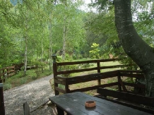 Casa Lacului - accommodation in  Olt Valley, Voineasa (57)