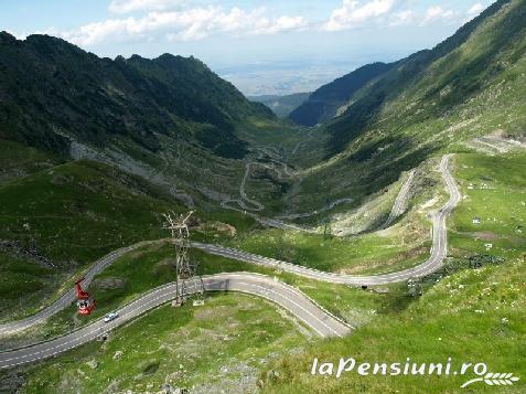 Pensiunea Lacul Albesti - alloggio in  Transfagarasan (Attivit&agrave; e i dintorni)