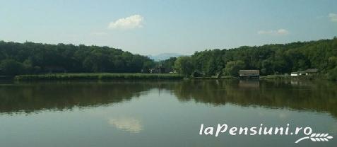 Pensiunea Lacul Albesti - alloggio in  Transfagarasan (Attivit&agrave; e i dintorni)