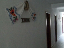 Pensiunea Madalina - cazare Valea Oltului (18)
