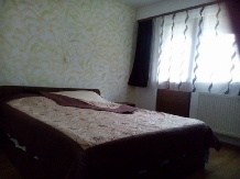 Pensiunea Madalina - accommodation in  Olt Valley (25)