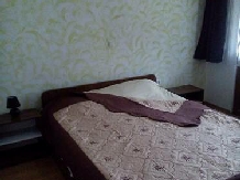Pensiunea Madalina - cazare Valea Oltului (26)