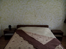 Pensiunea Madalina - accommodation in  Olt Valley (30)