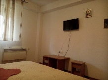 Pensiunea Madalina - accommodation in  Olt Valley (31)