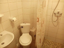 Pensiunea Madalina - cazare Valea Oltului (34)
