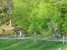Pensiunea Rosenville - accommodation in  Rucar - Bran, Rasnov (06)