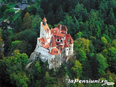 Pensiunea Rosenville - cazare Rucar - Bran, Rasnov (Activitati si imprejurimi)