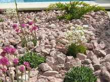 Pensiunea Bliss - accommodation in  Baile Felix (04)
