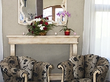Pensiunea Bliss - accommodation in  Baile Felix (14)