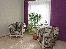 Pensiunea Bliss - accommodation in  Baile Felix (17)