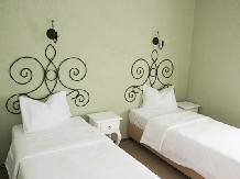 Pensiunea Bliss - accommodation in  Baile Felix (19)