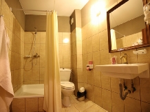 Pensiunea Bliss - accommodation in  Baile Felix (20)