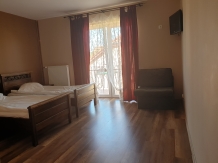 Vila Regent - accommodation in  Baile Felix (19)