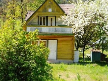 Pensiunea Alexandreea - accommodation in  Ceahlau Bicaz, Durau (01)
