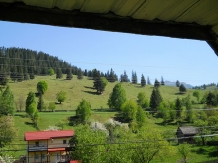 Pensiunea Alexandreea - accommodation in  Ceahlau Bicaz, Durau (03)