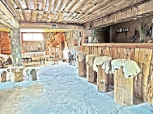 Cabana Soarelui - alloggio in  Tara Hategului (14)