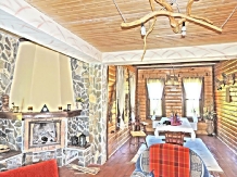 Cabana Soarelui - alloggio in  Tara Hategului (16)