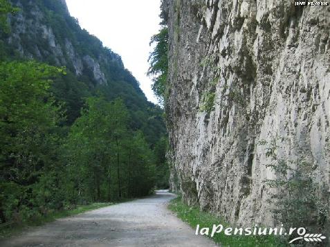 Pensiunea Cheile Oltetului - alloggio in  Nord Oltenia (Attivit&agrave; e i dintorni)