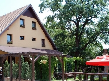 Pensiunea Stejarul - accommodation in  Sighisoara (01)