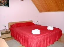 Pensiunea Stejarul - accommodation in  Sighisoara (04)