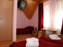 Pensiunea Stejarul - accommodation in  Sighisoara (06)