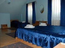 Pensiunea Stejarul - accommodation in  Sighisoara (08)