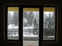 Pensiunea Alex - accommodation in  Apuseni Mountains, Belis (20)