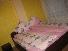 Pensiunea Alex - accommodation in  Apuseni Mountains, Belis (21)